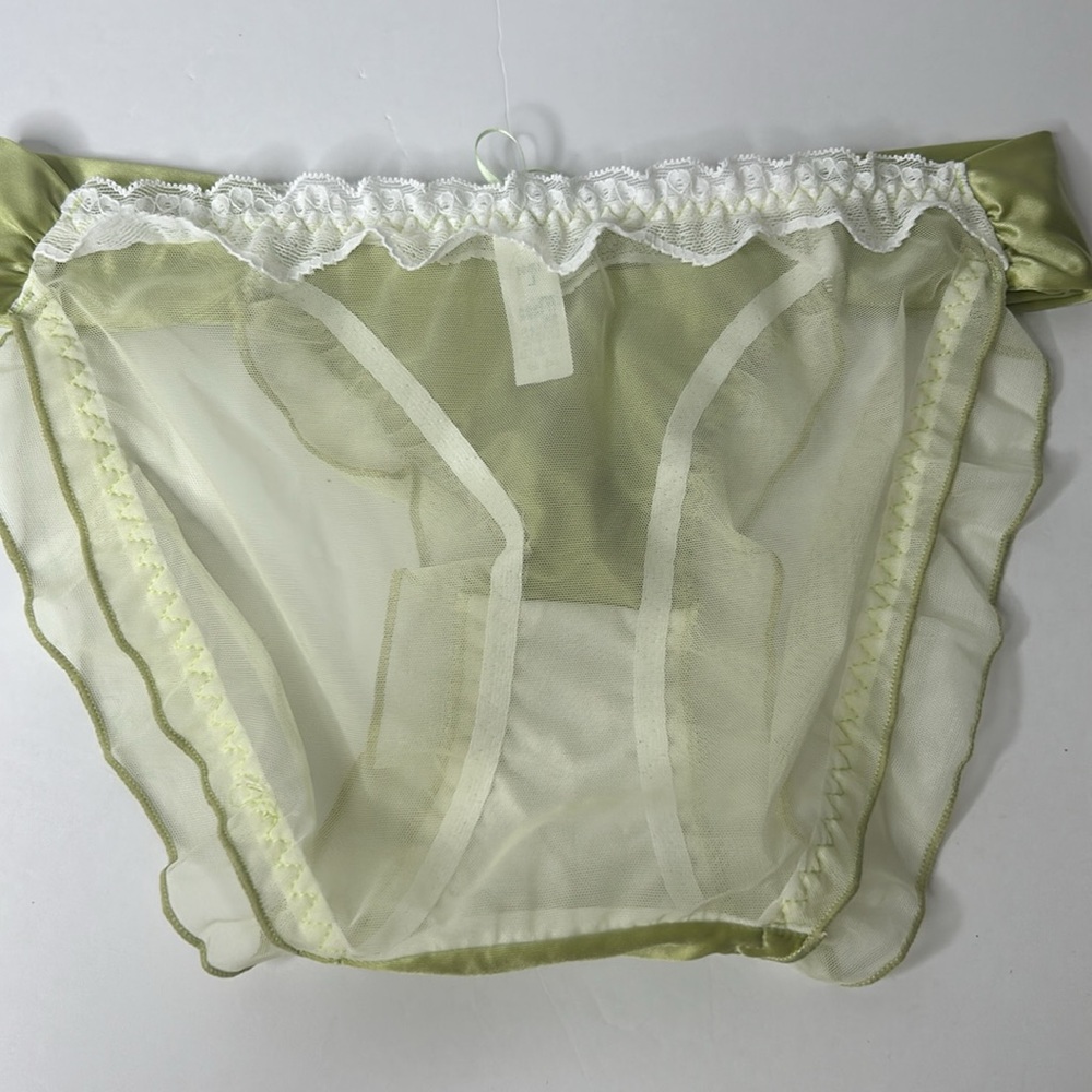 IZA Liquid Satin Moss Green Embroidered Floral Silky Stretch Feminine Panties - Picture 13 of 14